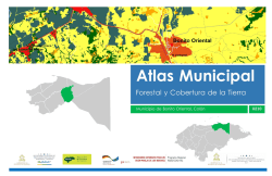 0210 Bonito Oriental, Atlas Forestal Municipal.
