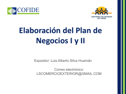 Elaboración del Plan de Negocios - Luis Silva