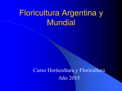 Floricultura12015Clavel (1) - Aula Virtual