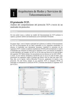 Análisis del protocolo TCP