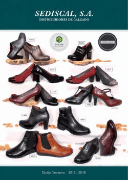 Zapatos y Zapatillas (Otoño/Invierno 2014