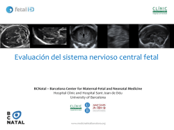 Evaluación del sistema nervioso central fetal