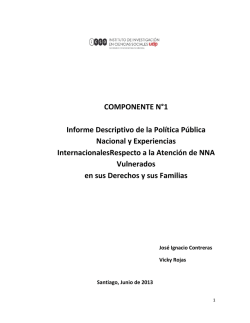 Informe Final Política Pública NNA - Instituto de Investigación en