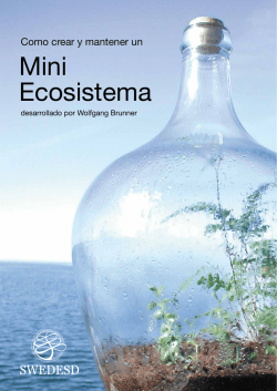Mini Ecosistema