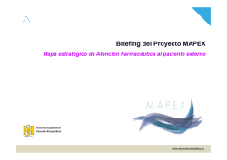 Briefing del Proyecto MAPEX