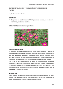 13-FLORES DE CORTE 1_26-5-2015 - Aula Virtual
