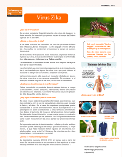 Virus Zika - LABORUM IPS