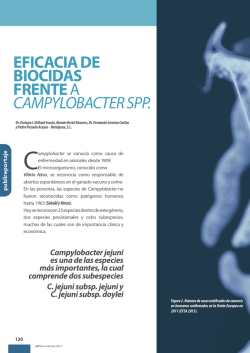 Eficacia dE biocidas frEntE a CampylobaCter spp.