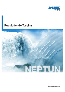 NEPTUN – Regulador de Turbina