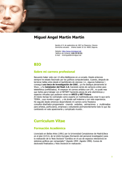 Miguel Angel Martín Martín BIO Curriculum Vitae
