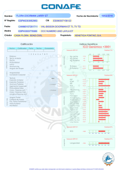 Certificado Genealógico ESPM3303952983