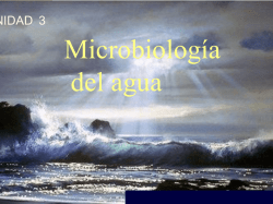 Microorganismos indicadores de la calidad del agua
