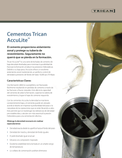 Cementos Trican AccuLite™