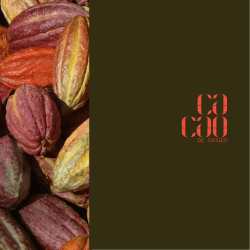 presentacion de cacao de origen.