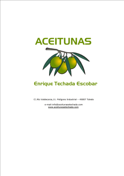 Catálogo de Productos - Aceitunas Enrique Techada