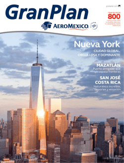 Gran Plan Aeromexico - Pagos Grupo Expansión