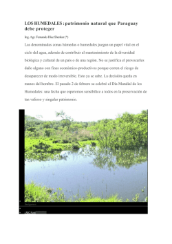 LOS HUMEDALES : patrimonio natural que Paraguay debe proteger