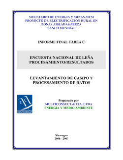 Informe Final Tarea - Ministerio de Energía y Minas
