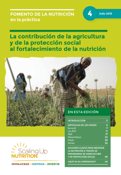 La contribución de la agricultura y de la protección social al