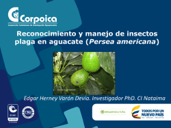 Insectos plaga y enemigos naturales en aguacate (Persea americana)