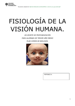FISIOLOGÍA DE LA VISIÓN HUMANA.