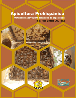 Apicultura Prehispánica