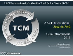 AACE International Sección Perú Guía Introductoria - Aacei