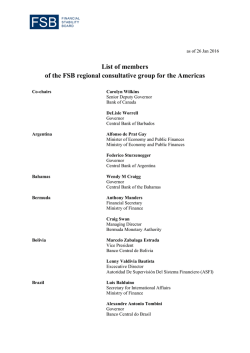 RCG for the Americas - Financial Stability Board