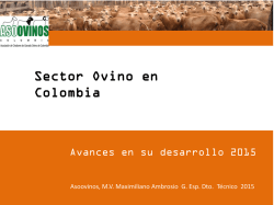 Presentación Colombia para AgriBenchMark