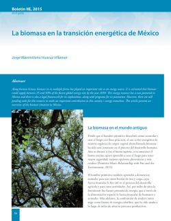 La biomasa en la transición energética de México / Biomass in