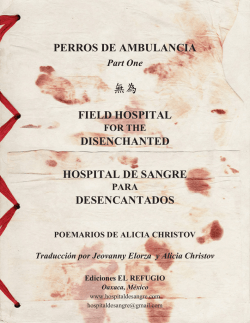 PERROS DE AMBULANCIA FIELD HOSPITAL