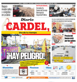 Bagazo invade calles y viviendas en La Gloria - Diario Cardel