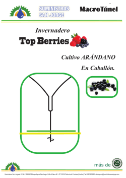Catálogo Top Berries para arándanos y frambuesas