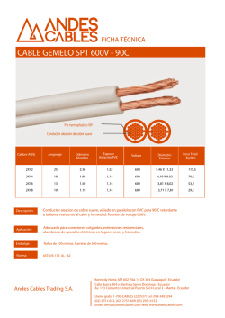 CABLE GEMELO SPT 600V - 90C