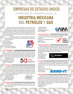 INDUSTRIA MEXICANA DEL PETRÓLEO Y GAS