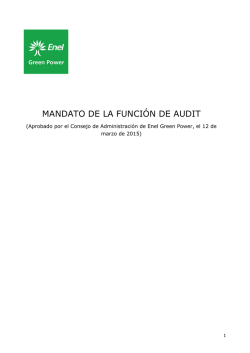 Mandato de la Función de Audit (PDF 205kb)