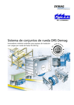 Sistema de conjuntos de rueda DRS Demag