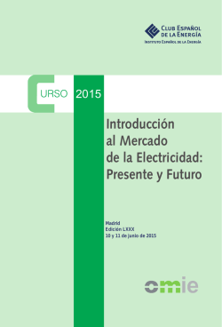 Introducción al Mercado de la Electricidad: Presente y Futuro
