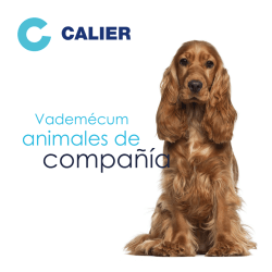 calier - MD Veterinaria