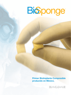 Brochure BioSponge (corrección)