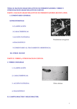 micro 10. bacilos gram negativos no fermentadores bgnnf. vibrio y