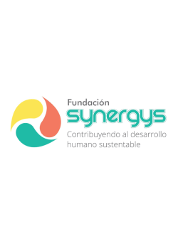 Carpeta Presentación - Fundación Synergys