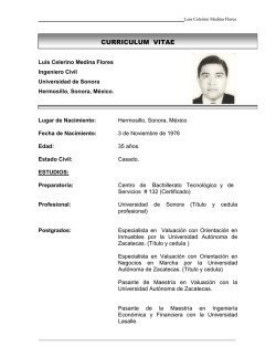 Luis Celerino Medina Flores - Ingeniería Civil