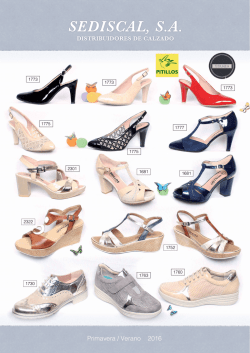 Zapatos y Zapatillas (Otoño/Invierno 2014-2015)