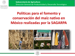 Políticas para el fomento y conservación del maíz nativo