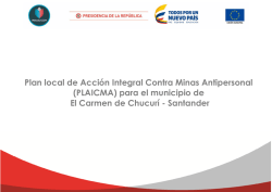 Plan local de Acción Integral Contra Minas Antipersonal (PLAICMA