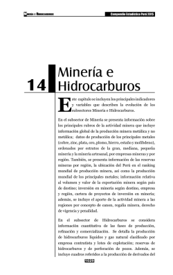 Minería e Hidrocarburos
