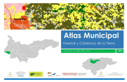 1808_Santa Rita Atlas Forestal Municipal