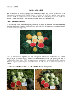 Boletín nº 3. Sandía al aire libre (13.02.2012) (PDF 6,38 MB.)