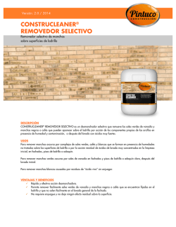 CONSTRUCLEANER® REMOVEDOR SELECTIVO